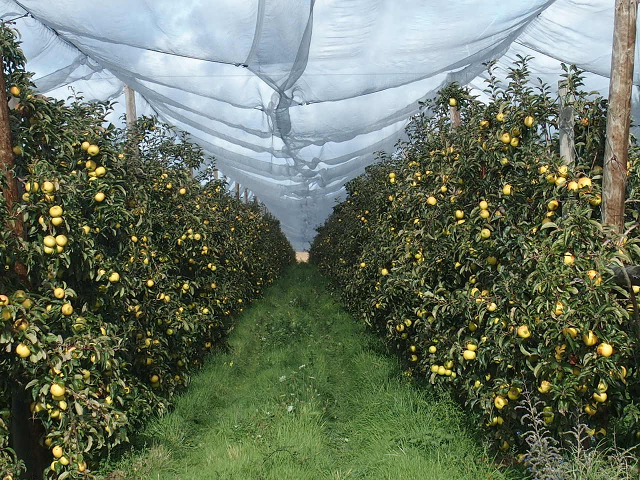 Aucune photo pour cette étape.